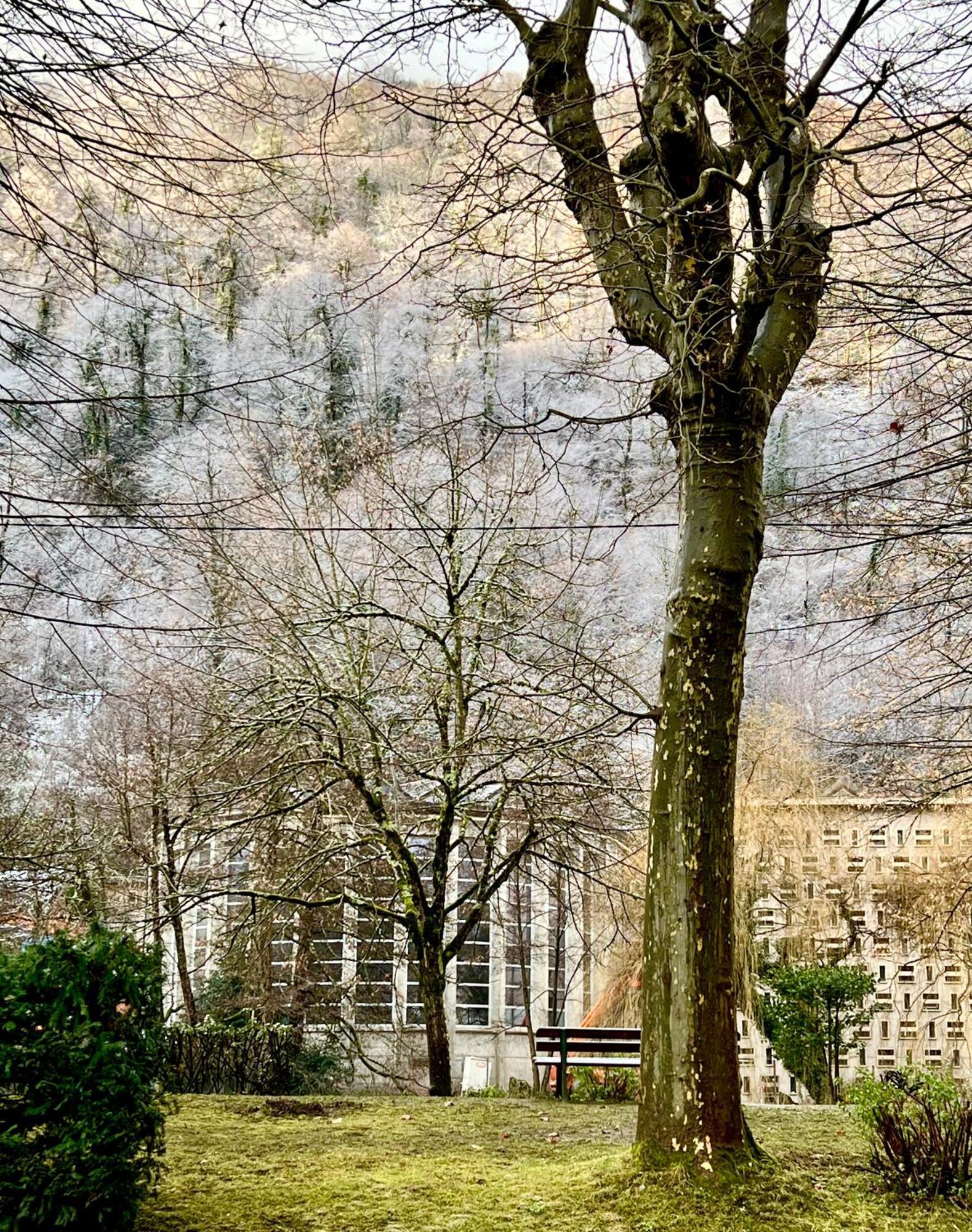 Fantastic Ground Floor Apartment Opposite Thermes Bagneres-de-Luchon Екстер'єр фото